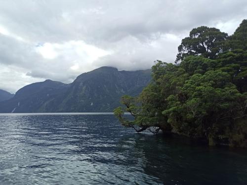 2023-01-19-Fiordlands-29 1