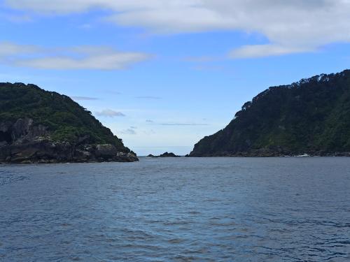 2023-01-19-Fiordlands-34 1