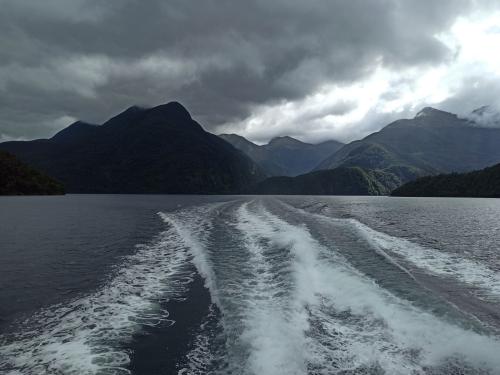 2023-01-19-Fiordlands-39 1