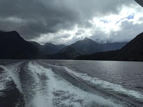 2023-01-19-Fiordlands-40 1