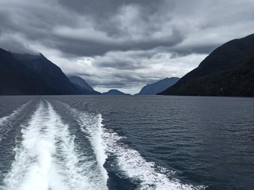 2023-01-19-Fiordlands-43 1