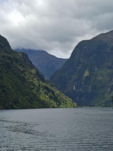 2023-01-19-Fiordlands-47 1