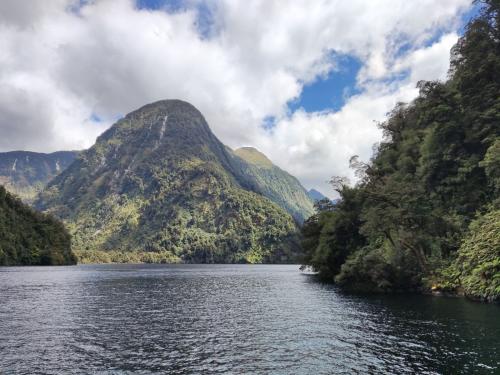 2023-01-19-Fiordlands-50 1