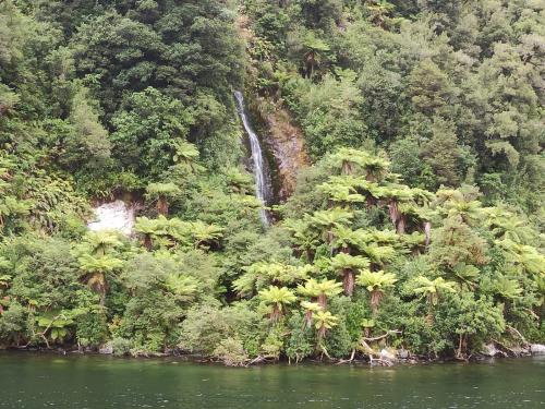 2023-01-19-Fiordlands-51 1