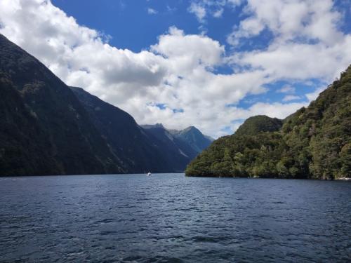 2023-01-19-Fiordlands-57 1