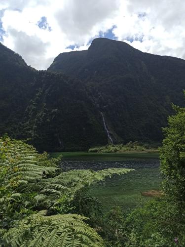 2023-01-19-Fiordlands-60 1