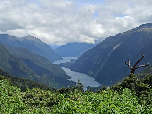 2023-01-19-Fiordlands-63 1