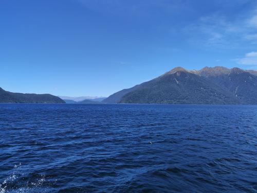 2023-01-19-Fiordlands-72 1