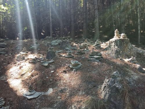 2023-01-23-Queenstown-05 1