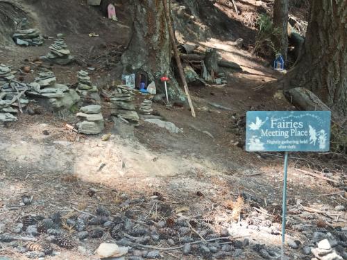 2023-01-23-Queenstown-06 1