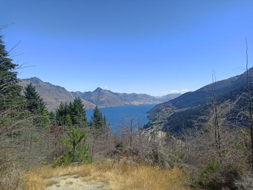 2023-01-23-Queenstown-08 1