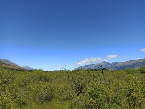 2023-01-23-Queenstown-56 1