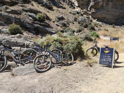 2023-01-25-Lake-Hawea-024 1