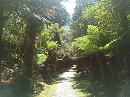 2023-01-29-Franz-Josef-11 1