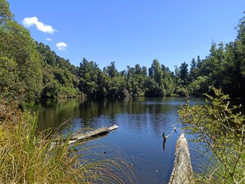 2023-01-29-Franz-Josef-13 1