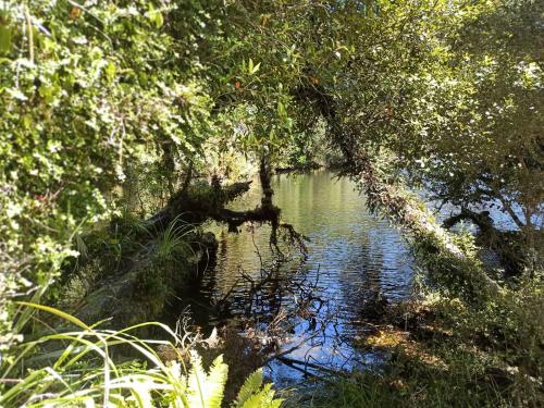 2023-01-29-Franz-Josef-16 1