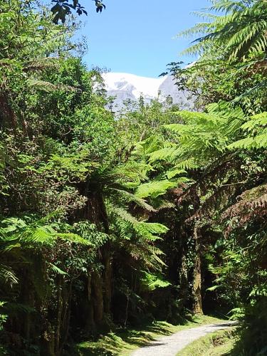 2023-01-29-Franz-Josef-17 1