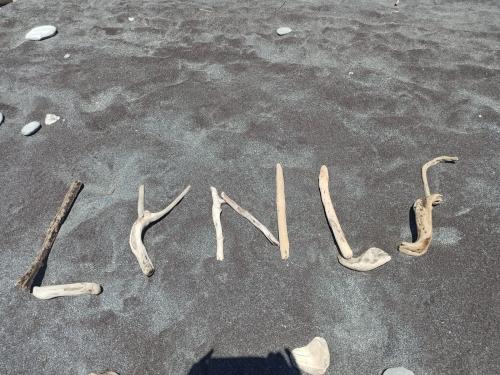 2023-01-29-Franz-Josef-29 1