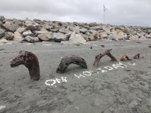 2023-01-31-Hokitika-07 1