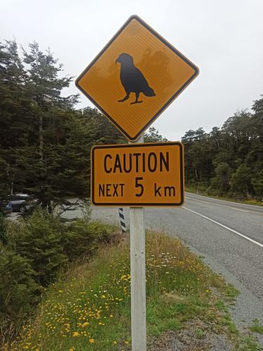 2023-02-03-Jacksons Retreat-19 1