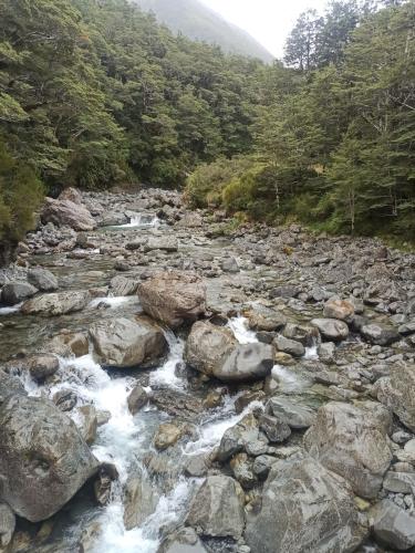 2023-02-03-Jacksons Retreat-20 1