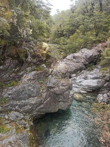 2023-02-03-Jacksons Retreat-21 1