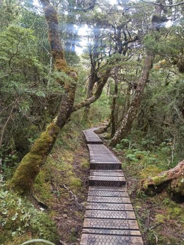 2023-02-03-Jacksons Retreat-22 1