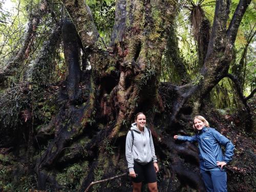 2023-02-03-Jacksons Retreat-33 1