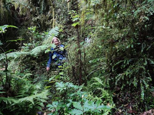 2023-02-03-Jacksons Retreat-37 1