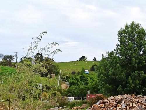 2022-Airplane-Project-55 1